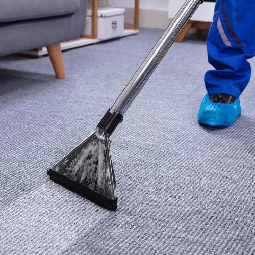 Carpet Cleaning