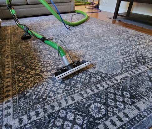 Why Regular Rug Cleaning Is a Game-Changer (And Why DIY Falls Short)