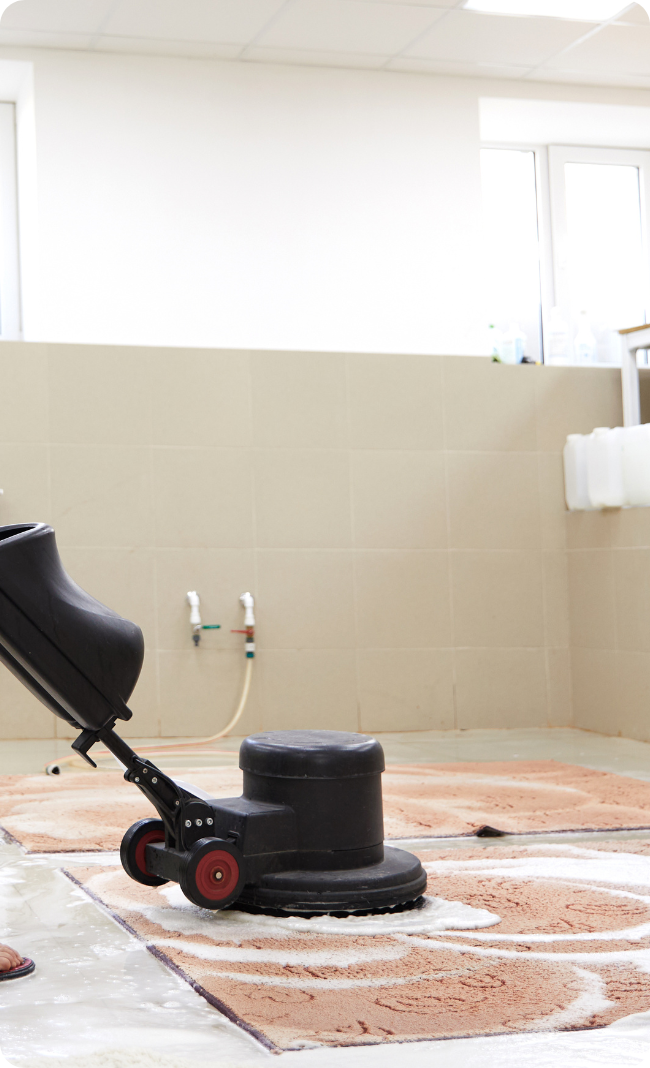 Rug cleaning in Adelaide